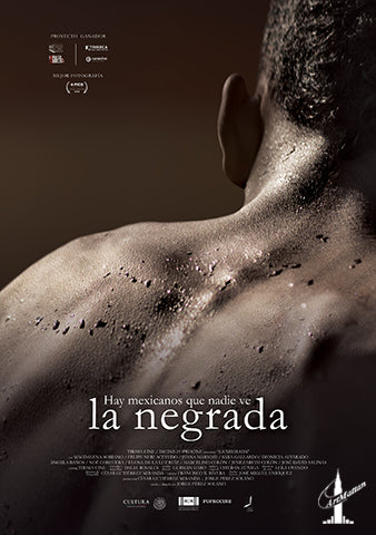 Afro-Latino Films – AfricanFilm.com